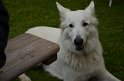 MCE Sommertreffen 2012 - 050